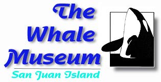 Click here to visit The Whale Museum